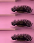 LASH VENDORS