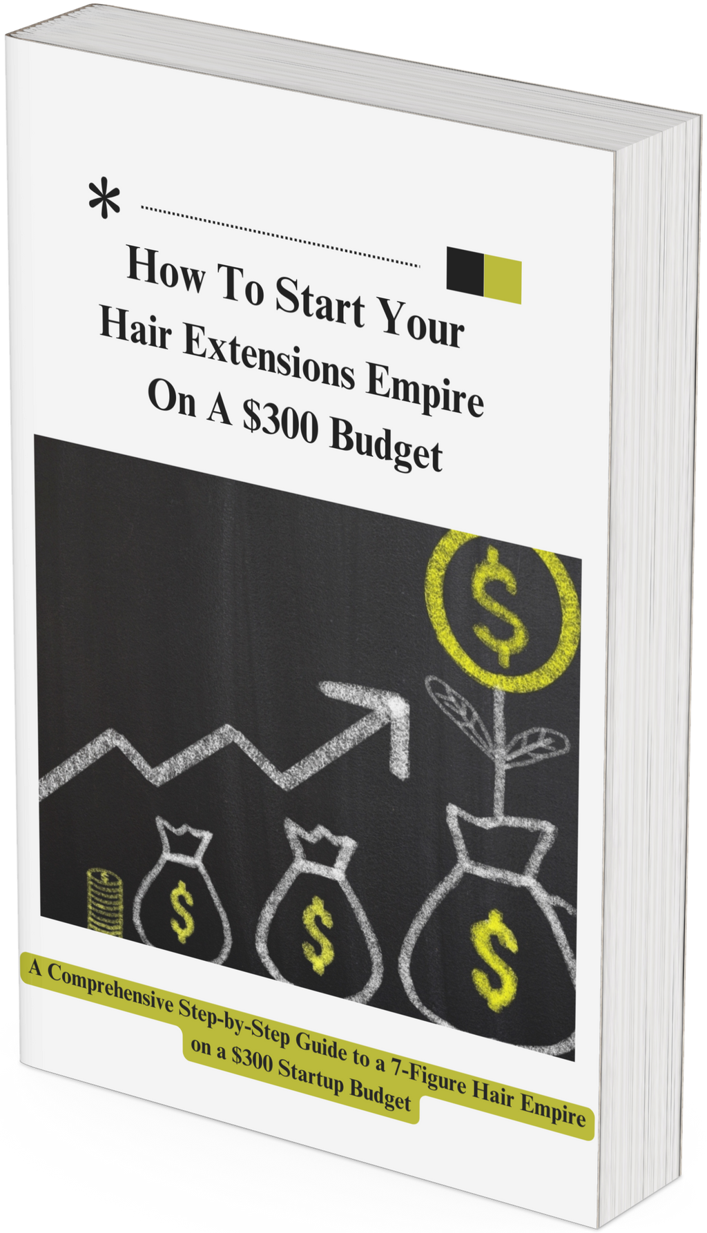 HOW TO START YOUR HAIR EMPIRE ON A $300 BUDGET