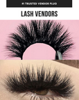 LASH VENDORS